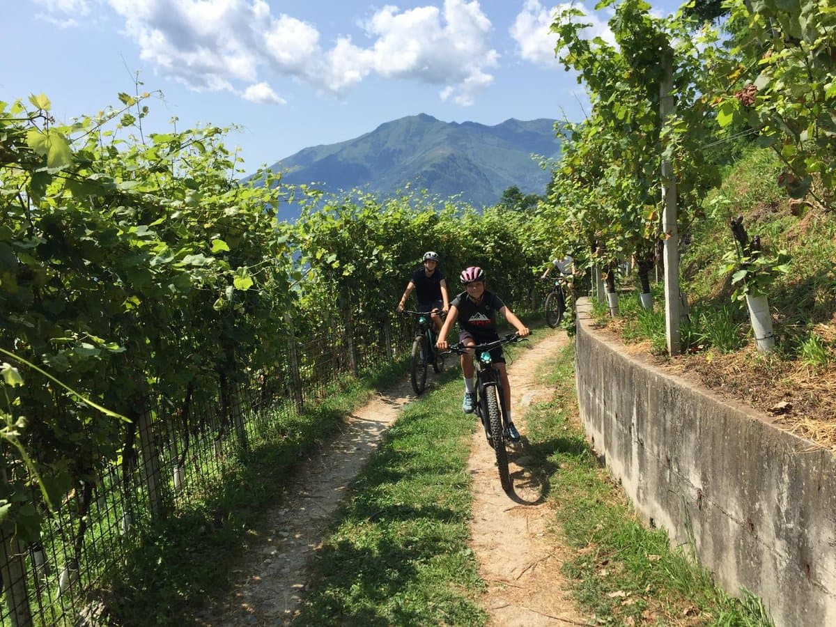 Lake Como Wine and Bike Tour Lake Como Wine and Bike Tour